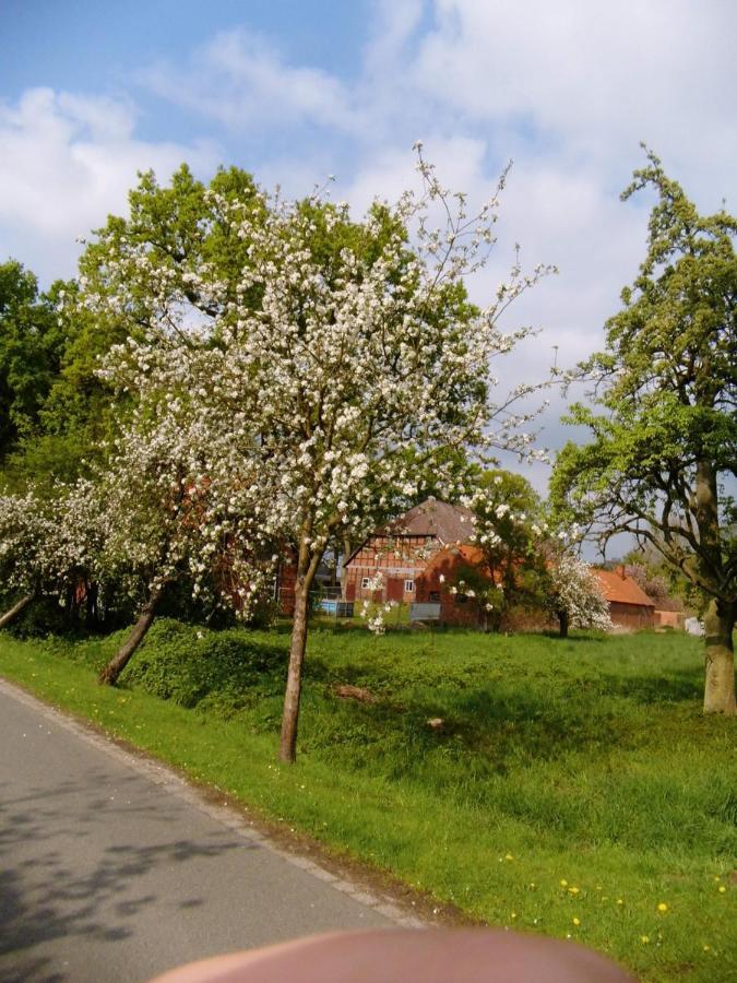 Am Storchennest Appartement Damnatz Buitenkant foto